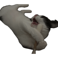 Jasmine_20260403190028