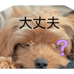 KeroroG_20260403210353