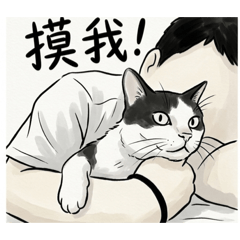 容器裡的貓-哞哞&亮亮