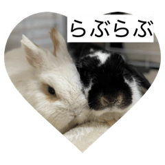 SUZU_20260403224952