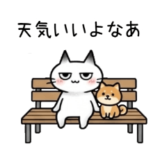 early summer nakosan