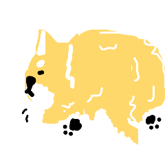 情緒多變的柴犬