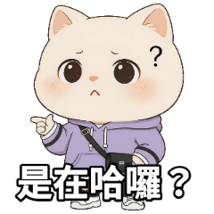 Pawny小貓✨爆紅時事梗圖！