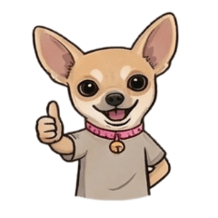 Nano  The Naughty Chihuahua