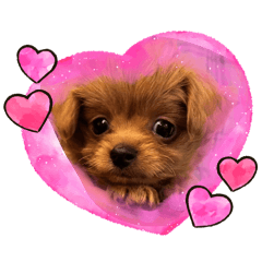 KeroroG_20260403214601