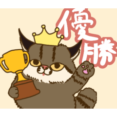 jarbo_20260403232352