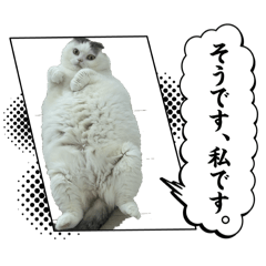 おきゃっていー