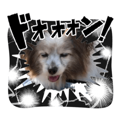 taruto_20260403232606