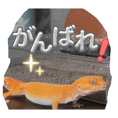 IKURA_20260403231818