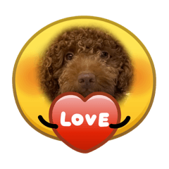 Pitchy_20260403153934