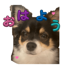 Otabe_20260403180420