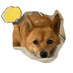 Yuna Yuna_20260403220409