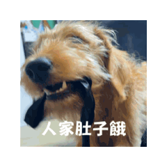 Sunny_20260403194411