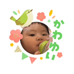 m.t.moko_20260403223700