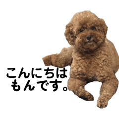 yuuri_20260403223720