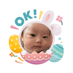 SHINGU_20260404005948