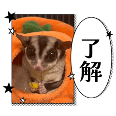 Tsunade & Hanzo & Gomanosuke