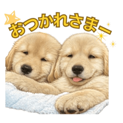 yo-yoyoyo_20260404010930