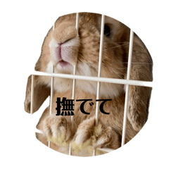 fumukuma_20260403234140