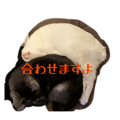 katsuki_yu_20260404032542