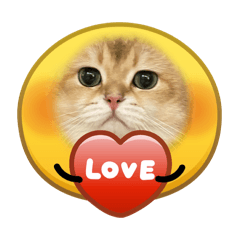 UNI&NORI^ ̳- ‧̫ • ̳^ฅ