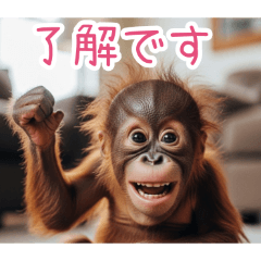 PAKAMOGOLY_20260404002402