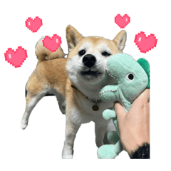 chanchi_20260404012013