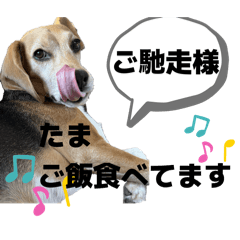 riyudakei_20260404012112