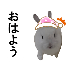 akepyon_20260404100729