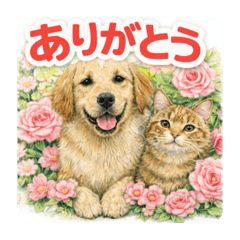 Dogs and cats with flowers