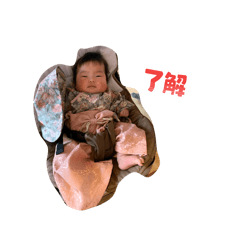 sunflower_20260403223309