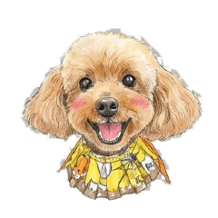 NoburinMom_20260404103157