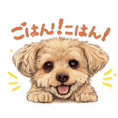 nonono_20260404101934