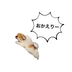 yuka_20260404070906
