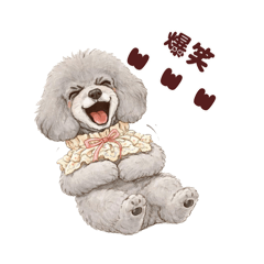 song june_20260404071401