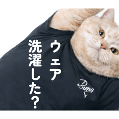 British-Nene_20260404070054