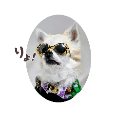 akiko_20260403230011