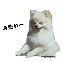 kanta_20260403230108