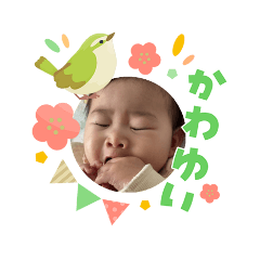 yuzu_20260404114548