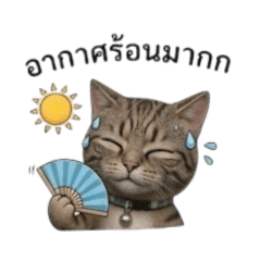 FFYYLM_20260403175812