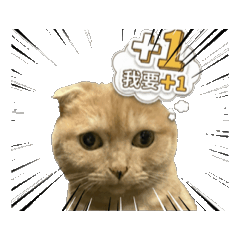 3cat twh