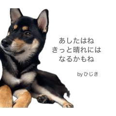 fuchigami-hijiki_20260404001141