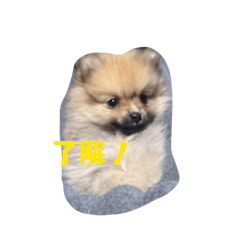 puchi daisuki_20260404001857