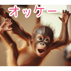 PAKAMOGOLY_20260404002143