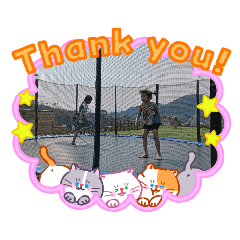 Organ@organ_20260403185802