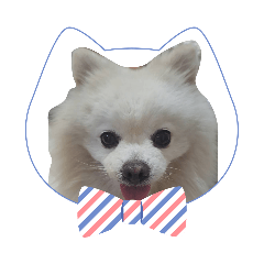 my princess_20260403193416