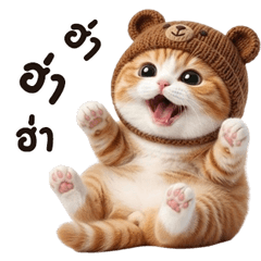 มะมะเหมียว 4 <3