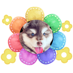 Organ@organ_20260403203730