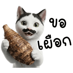 Whiskers cat, Cow cat