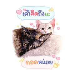 Jasmine_20260403223204